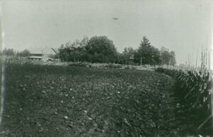 49_mae_talu