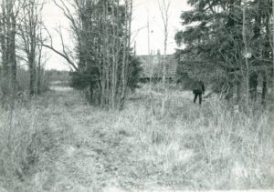 65_mae_talu_1987